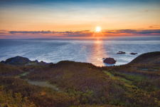 Summer Sunrise