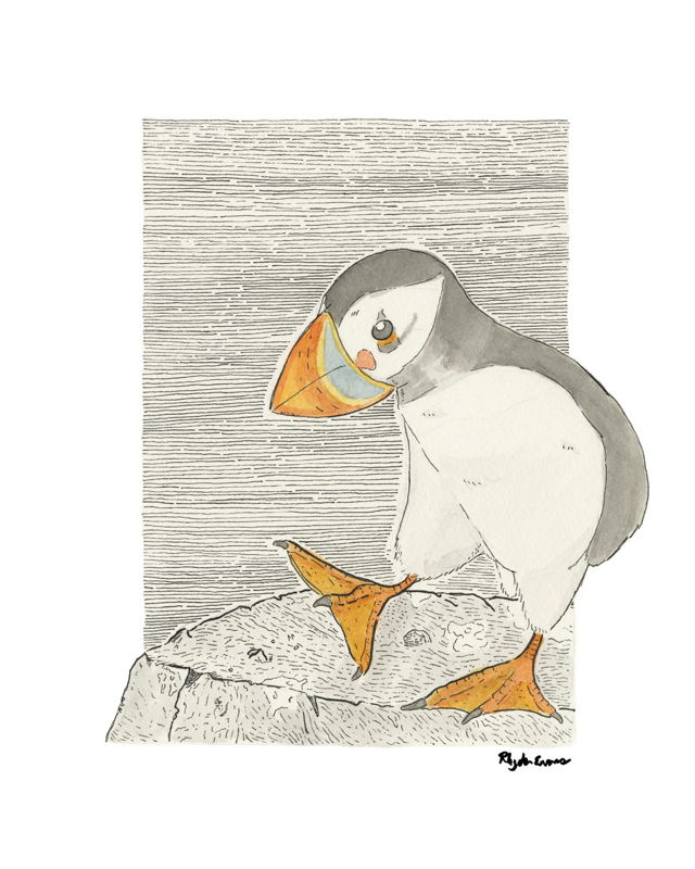 Puffin Waddle