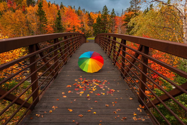 A Colorful Autumn Walk