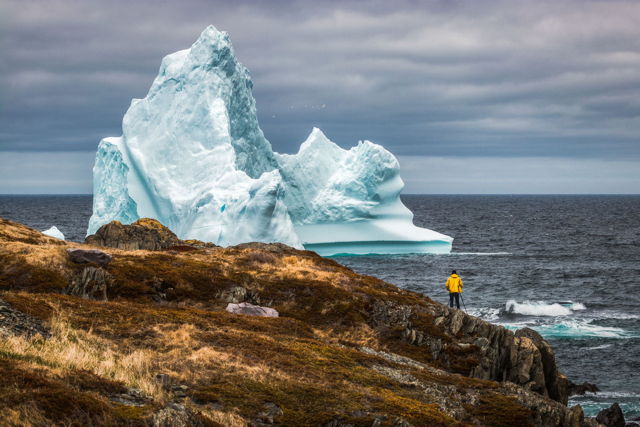 Colossal Iceberg in Grates Cove - 2