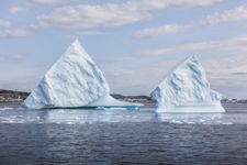 Iceberg in Twillingate Harbour