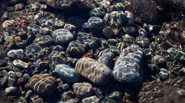 Middle Cove Beach Rocks