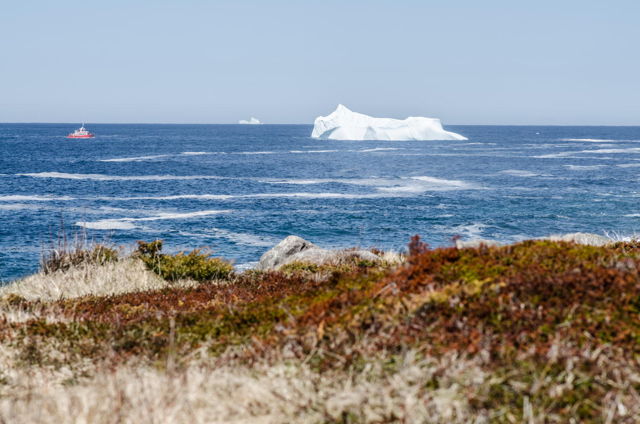 Iceberg chase. Off Black Head beach. NL