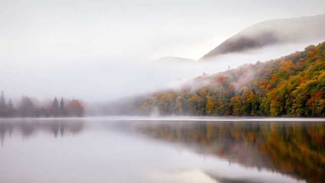 Morning Calm
