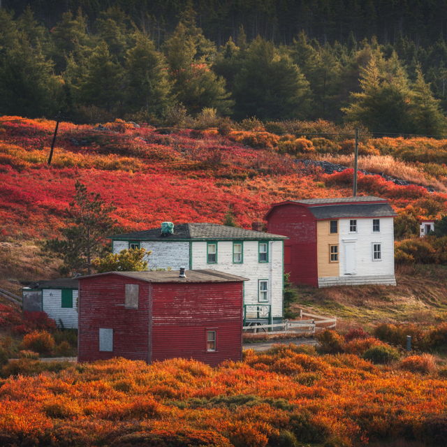 Fall Colours Dutara