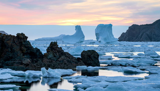 Twillingate Iceberg Mood