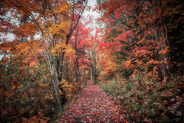 Edge of Autumn
