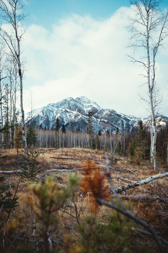 Autumn at Pyramid Mountain