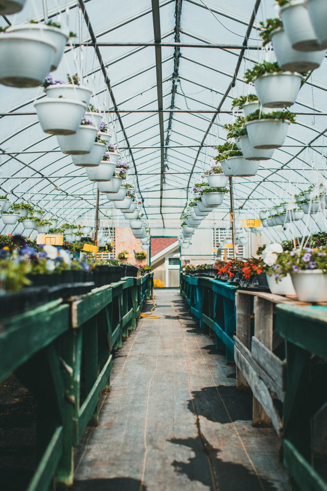 Green Thumb