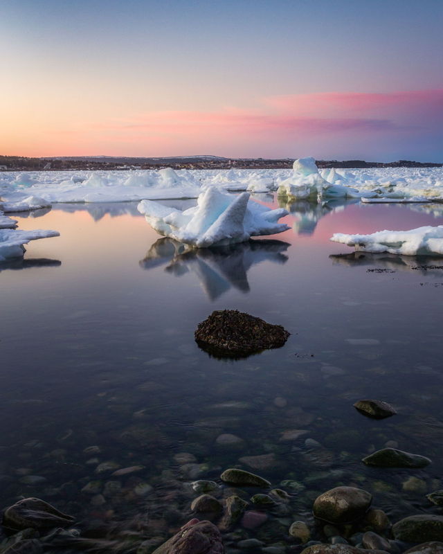 Icey Coley's Point