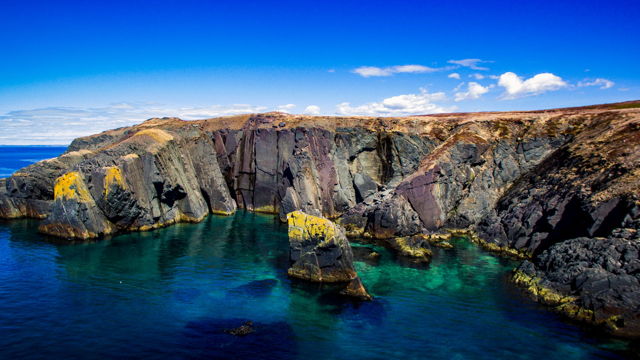 The Cape