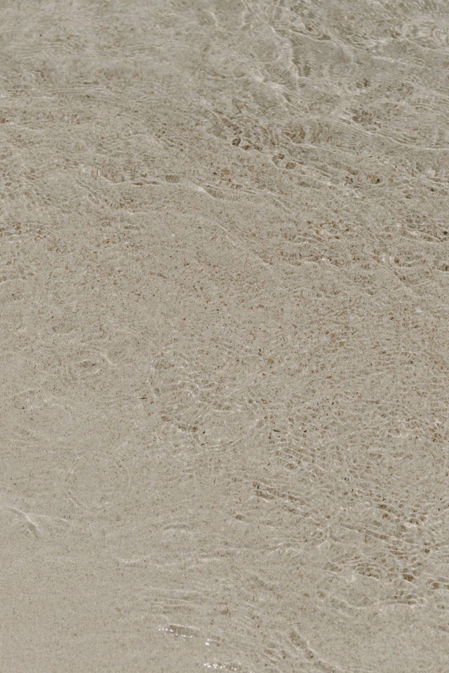 Ocean Shore IV