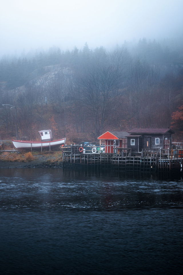 Foggy Days In The Gut