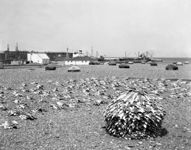 Drying Fish on the Beach at Grand Bank - 1940s