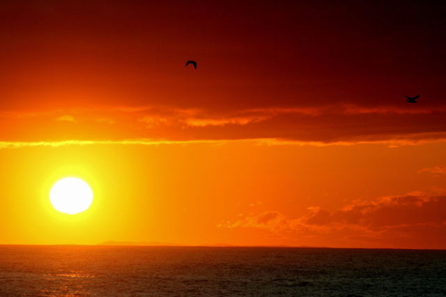 Bonavista Sunset