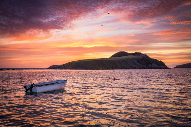 Fox Island Glow