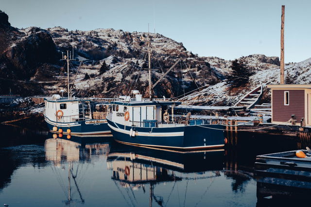Boats in Brigus