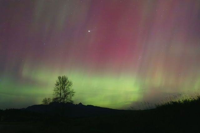 Aurora
