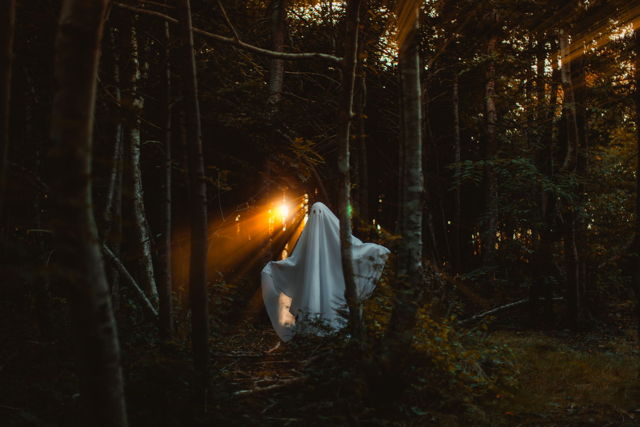 Forest Spooks