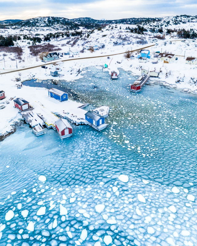 Sea Ice in the Cove, Twillingate