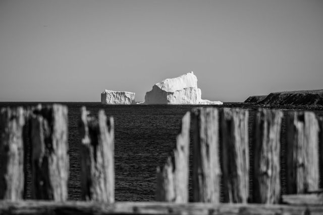 Between the Fence