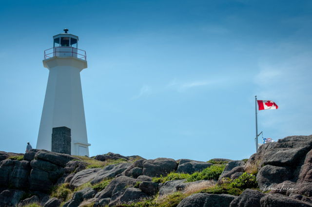 Standing Guard at Cape Spear