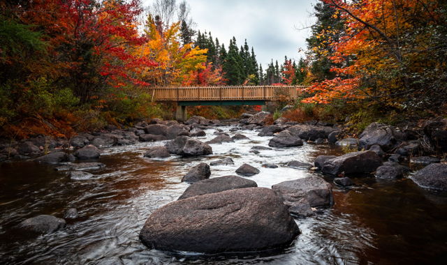 Autumn Brook
