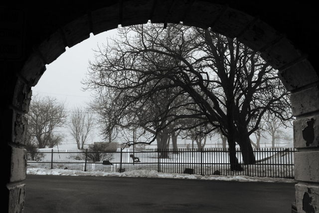 Foggy Day Through An Archway