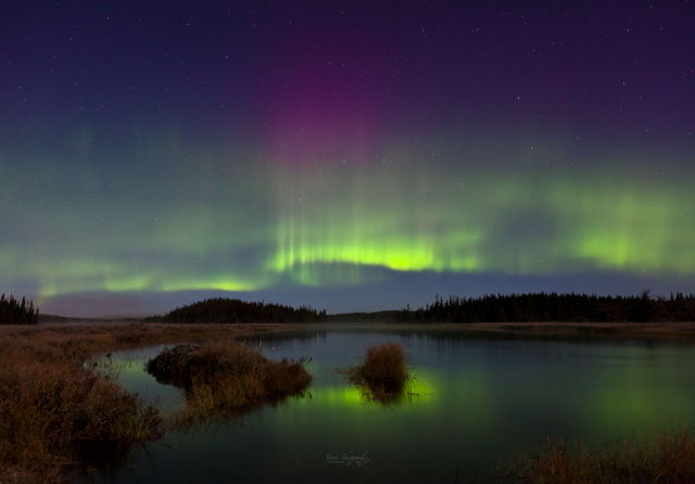 Aurora Borealis