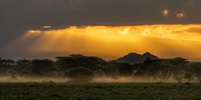 African Sunrise
