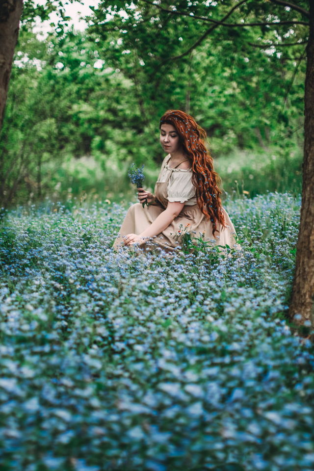 Myosotis