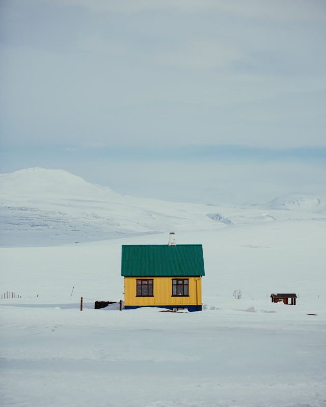 Snowy Solitude