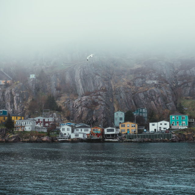 Mist