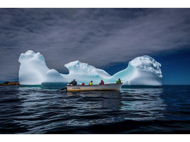 Iceberg Viewing-Fogo