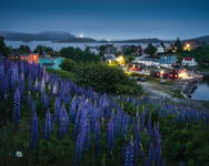 Blue Hour Over Trinity  Newfoundland