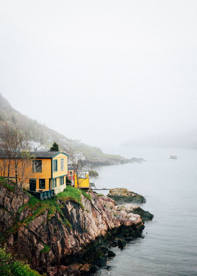Found in the Fog