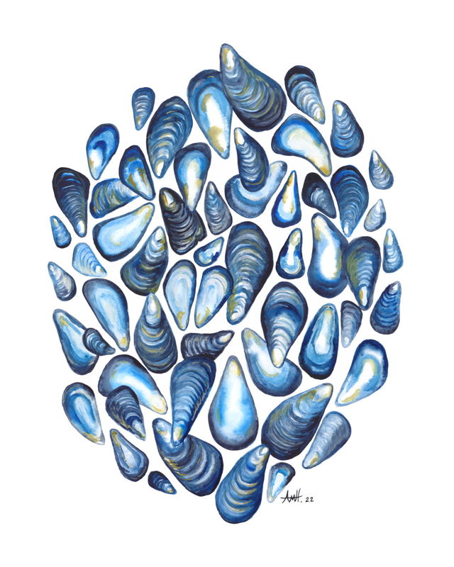 Shore Mussels