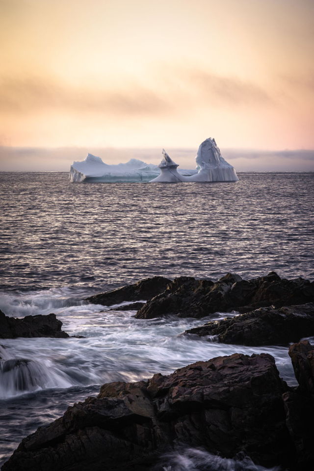 The Bonavista Berg