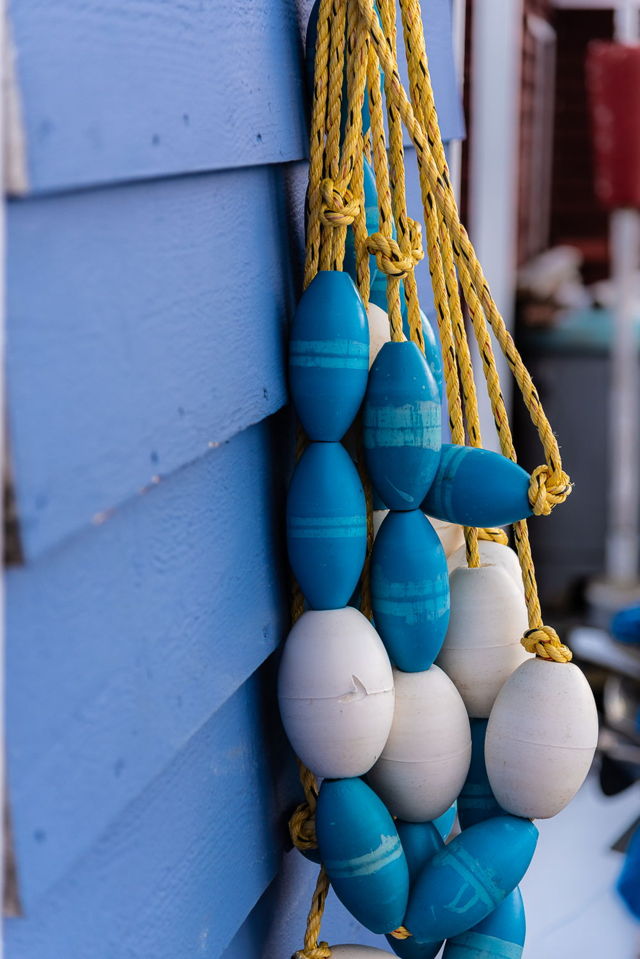 Blue Net Floats