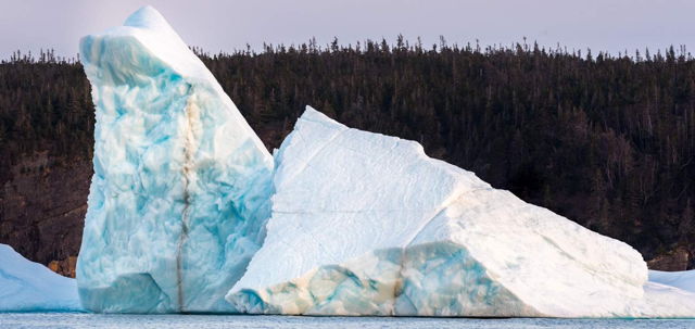 Bay Bulls Iceberg