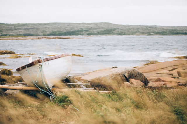 Safe Shores