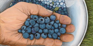 Hand Full of Blueberries