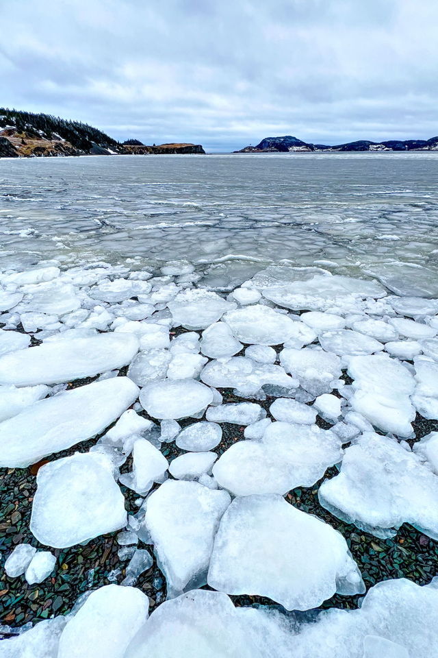 Trinity Harbour Ice, Trinity East, NL