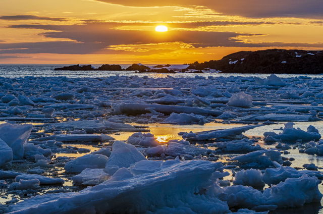 Icy Sunset