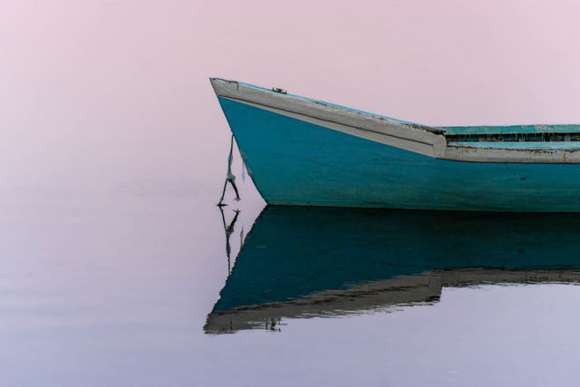 Dory Bow