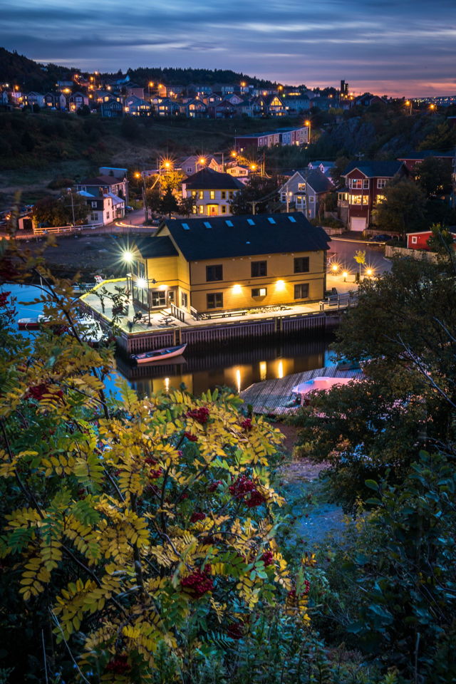 Quidi Vidi Autumn