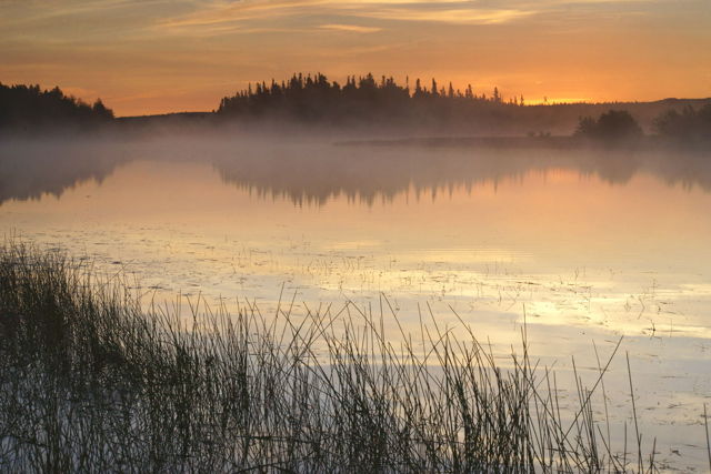 Morning glow