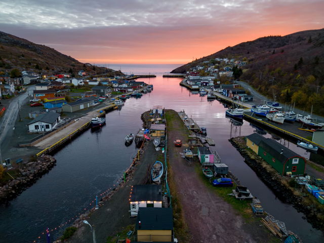 Petty Harbour Solace