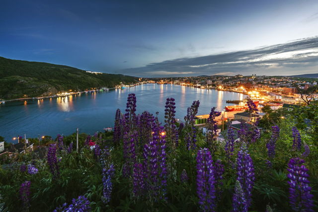 A City In Bloom