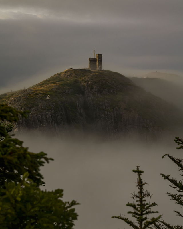Above the Fog, Across the Narrows